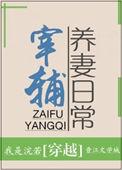 宰辅夫人的荣宠之路简介