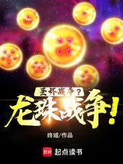 龙珠战斗