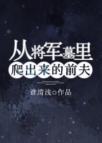 从将军到士兵原著