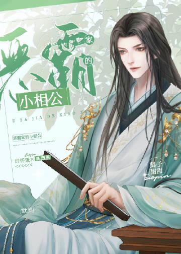 小夫郎文
