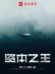 资本之王txt