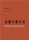 大唐生活指南