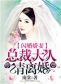 闪婚娇妻总裁大人请离婚大结局