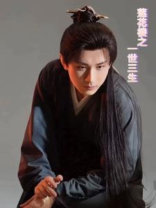 莲花世界是什么