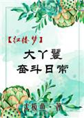 红楼大丫鬟奋斗史