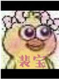 裴宝华