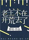 老王不在开荒去了txt百度