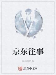 京东2009年