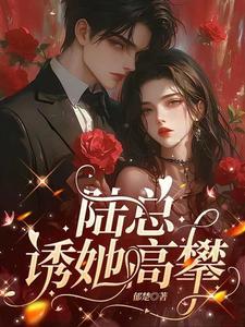 陆总诱她高攀全文阅读