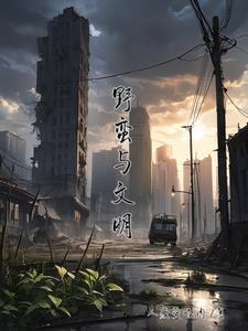 野蛮的文明与文明的野蛮