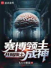赛博领主开局废土成神笔趣