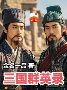 三国群英录谋略卡怎么用