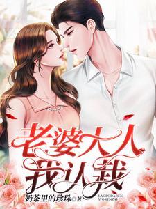 老婆大人17
