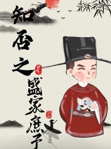 穿越知否之盛家庶子