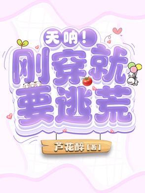 刚穿越过来就要去嫁人