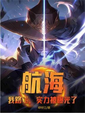 海贼路飞攻