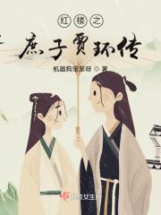 51. 穿越红楼之庶子贾琮 贾琮