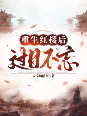 穿越红楼成了王爷