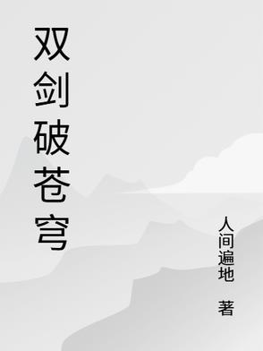 苍穹双剑配卡