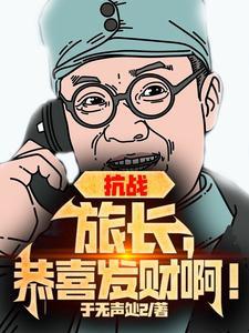 抗日之我是旅长