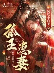 孤王患妻508章原文与作者解释