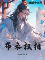 布衣丞相什么意思