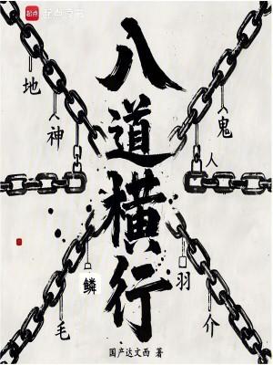 什么是八横八纵