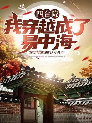 四合院我穿越成了中年傻柱