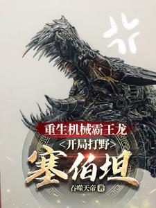 擎天柱打霸王龙