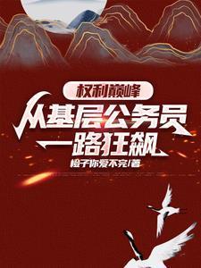 权力巅峰从基层公务员一路狂飙