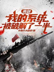 亮剑系统