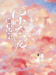 盛书记的心尖宠 盛怀安