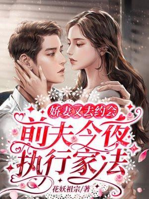 娇妻来袭总裁前夫请放手