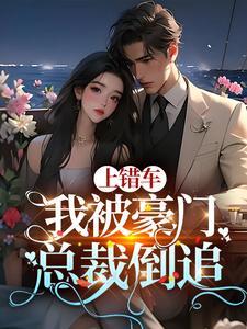 上错车我被豪门总裁倒追
