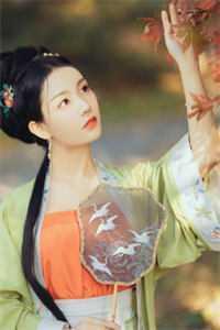 莫念莫羡
