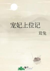 宠妃上位记南晴