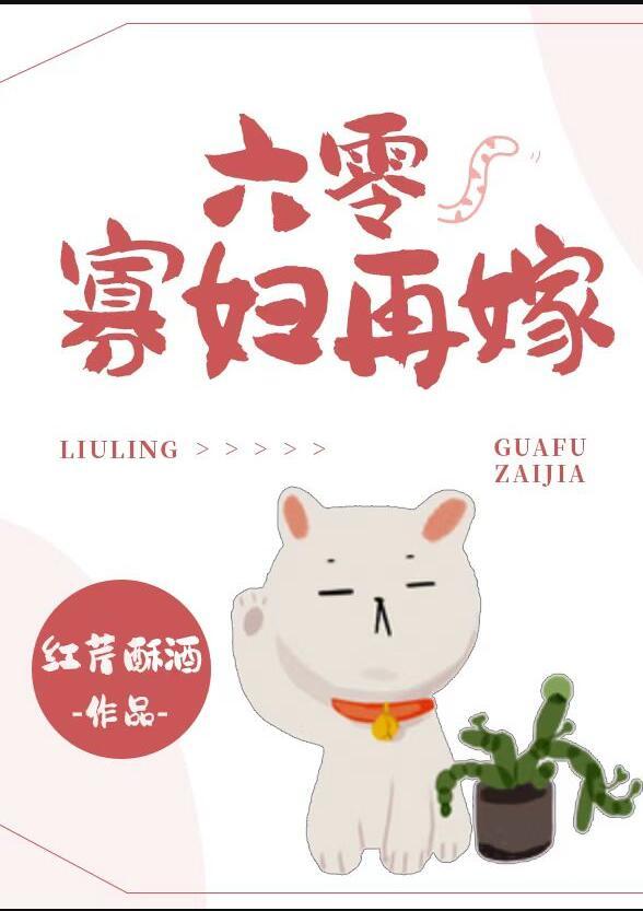 六零寡妇再嫁讲的什么故事