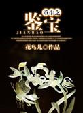 重生之鉴宝捡漏王