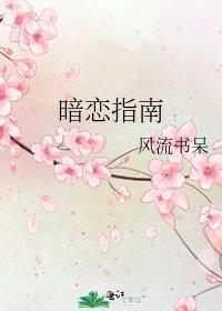 暗恋指南TXT百度资源免费