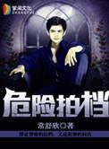 危险拍档类似