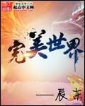 完美世界石毅
